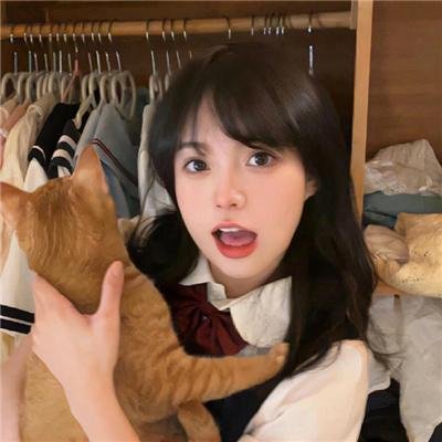 飞贼黑猫