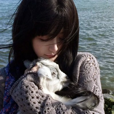 淑女宠爱 高清封面